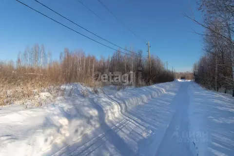 Участок в Тюменская область, Нижнетавдинский муниципальный округ, ...