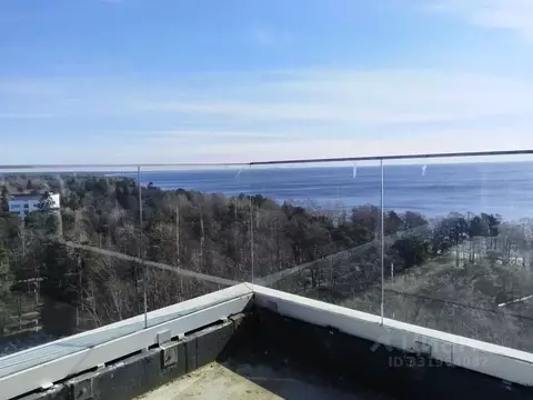 Студия Санкт-Петербург, Санкт-Петербург, Зеленогорск Приморское ш., ...