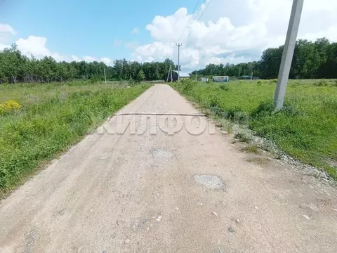 Участок в Новосибирская область, Мошковский район, Индия кп, ...