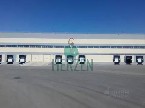 Склад в Московская область, Богородский городской округ, пос. Затишье, ...