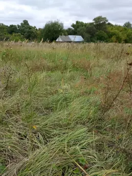 Участок в Воронежская область, Рамонский район, Большеверейское с/пос, ...