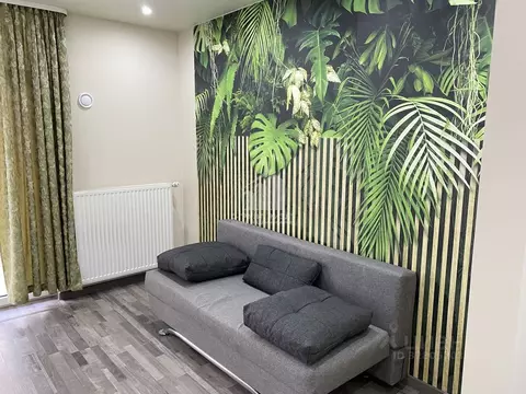 Студия Калининградская область, Калининград Летняя ул., 66 (26.0 м)