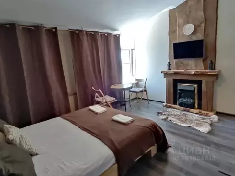 Студия Псковская область, Псков ул. Ижорского Батальона, 57А (28.0 м)