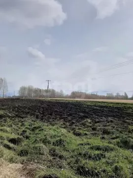 Участок в Тюменская область, Ялуторовский муниципальный округ, д. ...