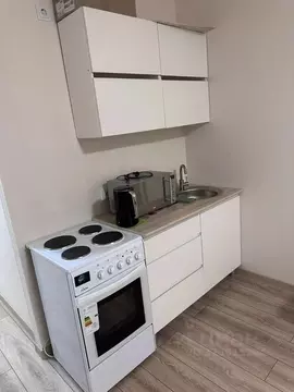 Студия Санкт-Петербург аллея Арцеуловская, 9 (24.2 м)