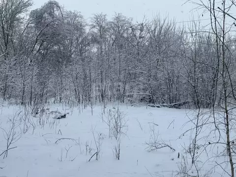 Участок в Тульская область, Донской Новоугольный мкр, ул. Белякова ...