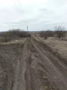 Участок в Тамбовская область, Тамбов Садовая ул. (7.8 сот.)