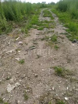 Участок в Амурская область, Благовещенский район, с. Волково  (10.0 ...