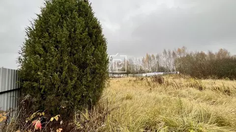 Участок в Калужская область, Калуга ул. 3-я Кольцевая (8.9 сот.)