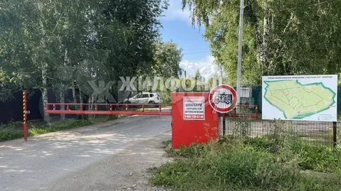 Участок в Новосибирская область, Новосибирский район, Барышевский ...