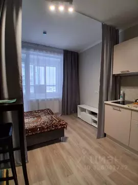 Студия Санкт-Петербург пос. Парголово, ул. Брюлловская, 5с1 (20.0 м)