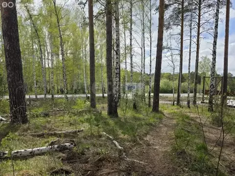 Участок в посёлок Шабровский, улица 50-й Пикет (15 м)