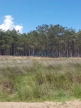 Участок в Крым, Ленинский район, Останинское с/пос, с. Песочное ул. ...