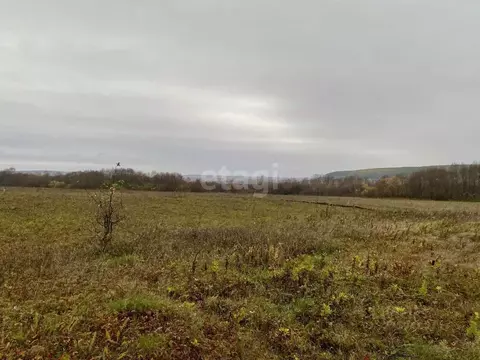 Участок в Башкортостан, Гафурийский район, Красноусольский сельсовет, ...