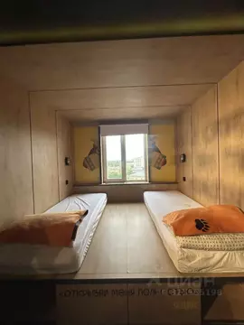 Студия Санкт-Петербург Большой Сампсониевский просп., 74к2 (16.7 м)