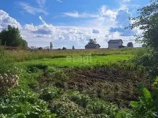 Участок в Ярославская область, Некрасовский муниципальный округ, ...