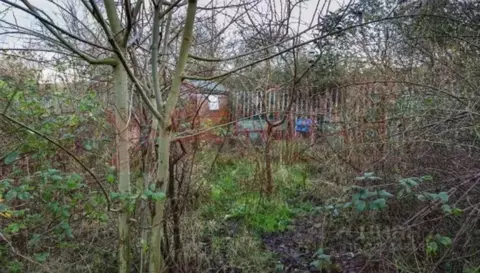 Участок в Ростовская область, Новочеркасск ул. Ольховая, 8 (6.0 сот.)