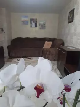 1-к кв. Башкортостан, Белорецк ул. В. Косоротова, 23 (41.0 м)