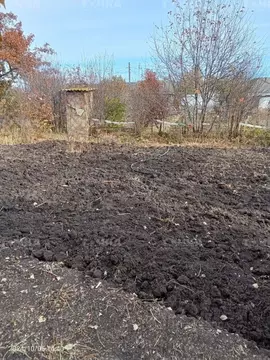 Участок в Челябинская область, Чебаркуль Восточный СНТ, 65 (4.0 сот.)