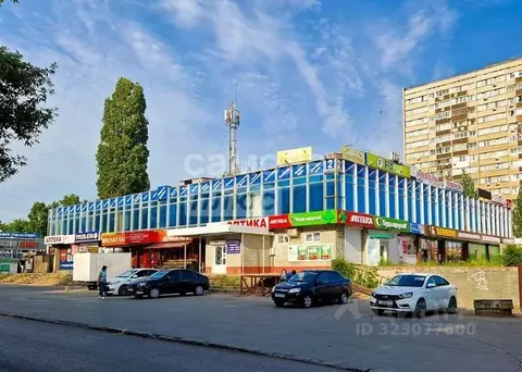 Торговая площадь в Самарская область, Тольятти ул. Фрунзе, 23 (14 м)