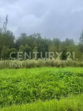 Участок в Калужская область, Боровский район, Ворсино с/пос, д. ...