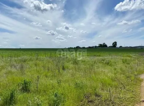 Участок в Ростовская область, Аксайский район, Рассветовское с/пос, ...