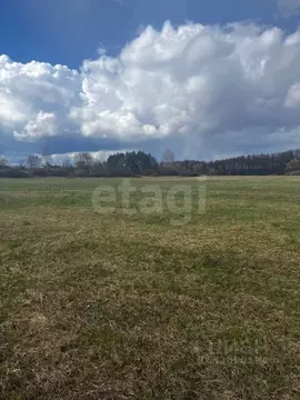 Участок в Воронежская область, Рамонский район, Ступинское с/пос, с. ...