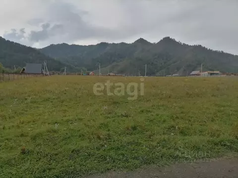 Участок в Алтай, Чемальский район, с. Анос  (10.0 сот.)