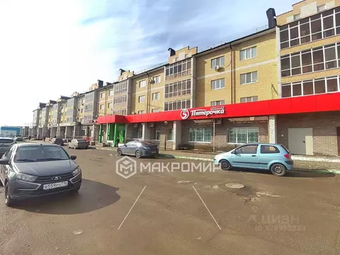 Помещение свободного назначения в Татарстан, с. Пестрецы ул. ...