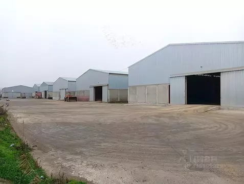 Производственное помещение в Ростовская область, Азов Азовский район, ...