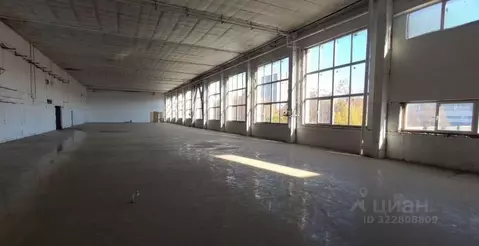 Производственное помещение в Санкт-Петербург ул. Оптиков, 4к3 (1260 м)