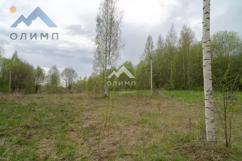 Участок в Вологодская область, Шекснинский муниципальный округ, ...