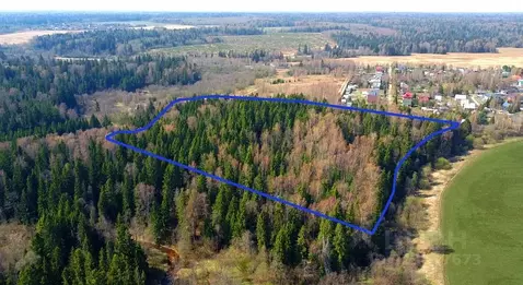 Участок в Московская область, Одинцовский городской округ, Рига лес кп ...