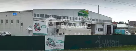 Склад в Омская область, Омский район, с. Дружино Сибирская ул., 2Б ...