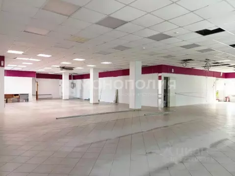 Торговая площадь в Амурская область, Белогорск ул. Скорикова, 17Г (280 ...