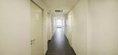 Офис в Санкт-Петербург ул. Рентгена, 7 (38 м)