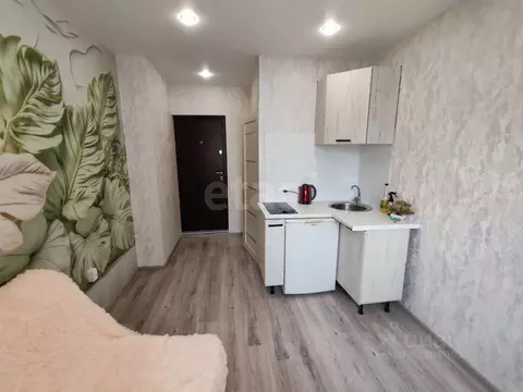 Студия Красноярский край, Красноярск ул. Калинина, 10 (12.0 м)