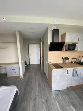 Студия Санкт-Петербург Витебский просп., 99к1 (29.0 м)