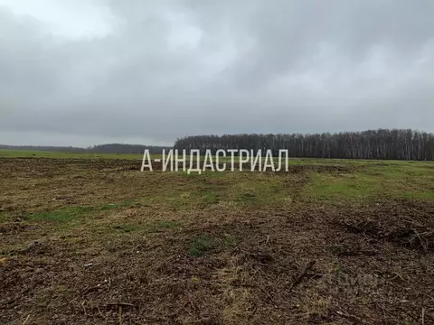 Участок в Московская область, Раменский муниципальный округ, с. ...