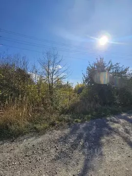 Участок в Ульяновская область, Ульяновский район, Зеленорощинское ...