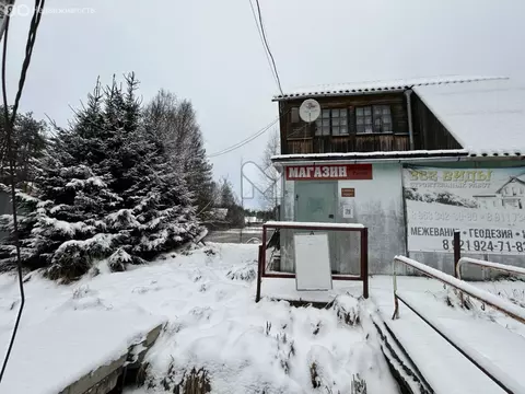 Помещение свободного назначения (50 м)