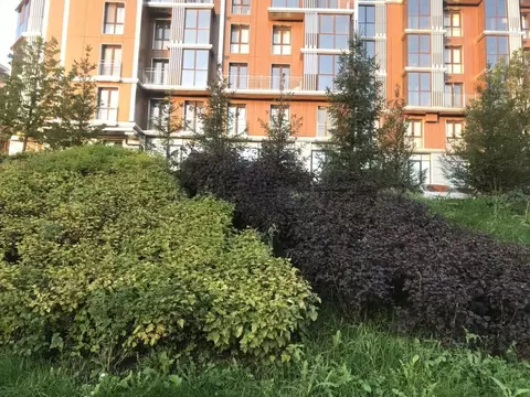 1-к кв. Татарстан, Казань ул. Волкова, 12 (35.7 м)