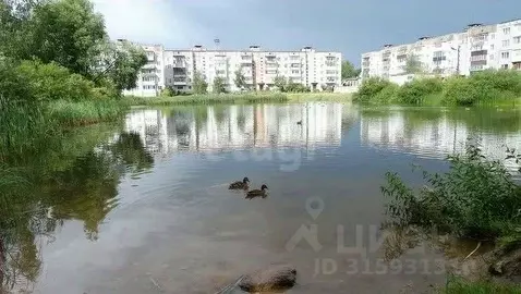 1-к кв. Псковская область, Остров ул. Меркурьева, 16 (32.4 м)