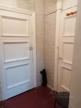 Комната Москва ул. Большая Набережная, 13