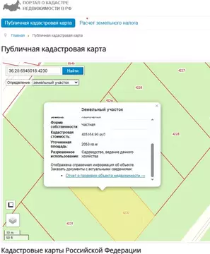 Участок в Воронежская область, Рамонский район, Новоживотинновское ...