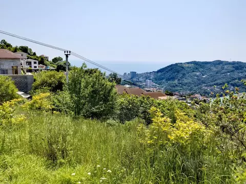 Участок в Краснодарский край, Сочи городской округ, с. Русская Мамайка ...