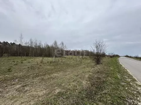 Участок в Тульская область, Алексин городской округ, с. Сотино  (250.0 ...
