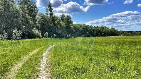 Участок в Московская область, Чехов муниципальный округ, д. Якшино  ...