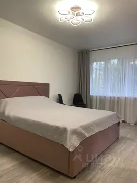 Студия Карелия, Петрозаводск Лесная ул., 22 (30.0 м)