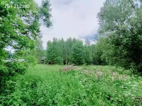 Участок в село Трубино, 99 (8 м)